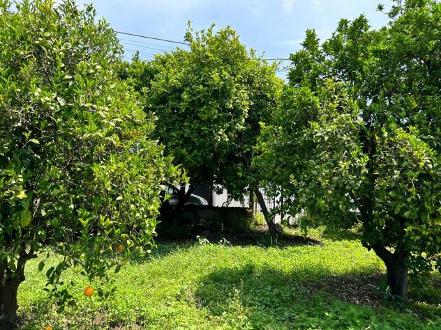 Terreno in vendita a Aci Sant'Antonio - Foto 7