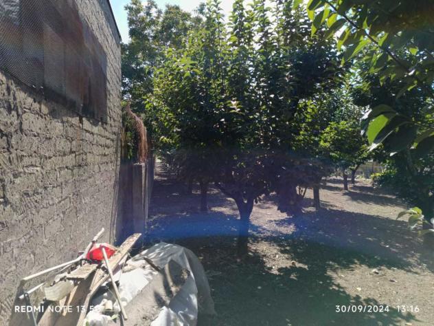 Frutteto in vendita a Nocera Inferiore - Foto 4