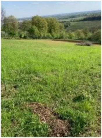 Immobile in asta di 1922 m² in vendita a Orgiano - Foto 4