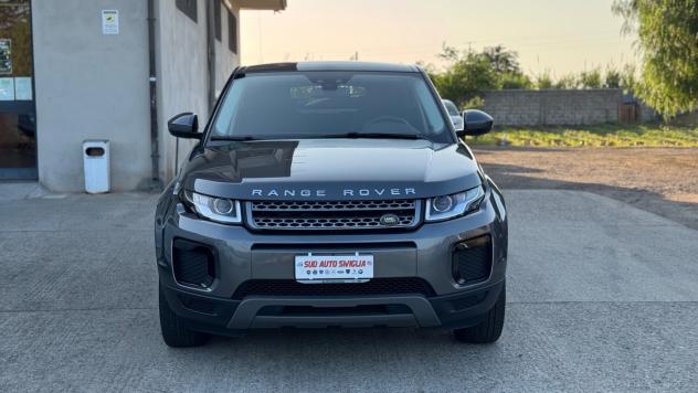 Range Rover Evoque 2.0 TD4 150 CV 5p. Pure Catena rumorosa - Foto 10