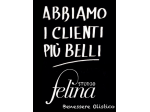Massaggi - benessere Foggia - Benessere FELINA Tel:3311958888