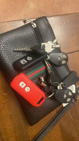 SH 300 - Foto 6