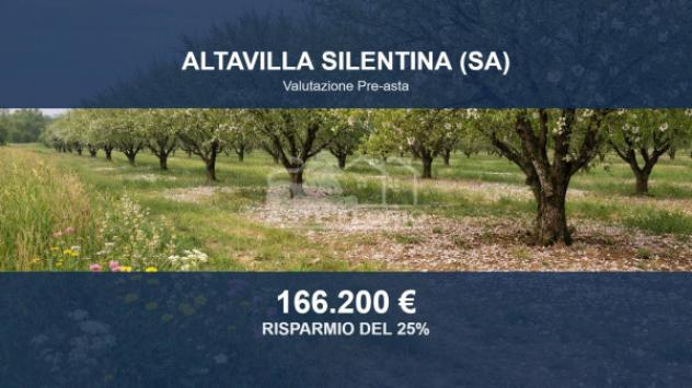 Immobile in asta di 57330 m² in vendita a Altavilla Silentina