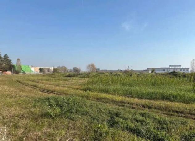 Immobile in asta di 55519 m² in vendita a Molinella - Foto 4