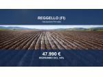 Immobile in asta di 15590 m² in vendita a Reggello