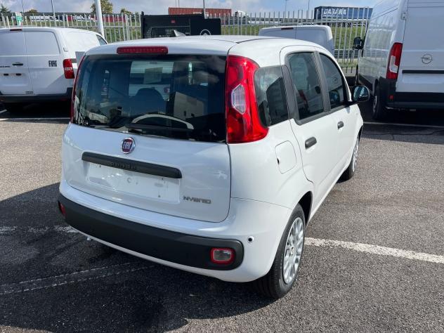 FIAT Pandina Pandina 1.0 firefly hybrid Icon s&s 65cv - Foto 8