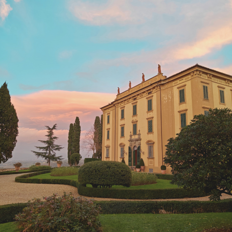 Wine Hospitality - addetto alle degustazioni di vino