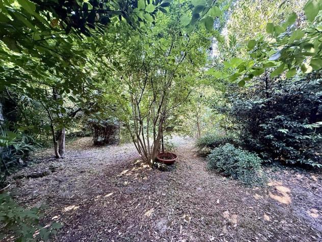 LA CASA DEL VERDE - Casa Indipendente - Alfonsine (RA) - Foto 15