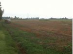 Rustico / Casale di 1600 m² con più di 5 locali e box auto in vendita a Soliera