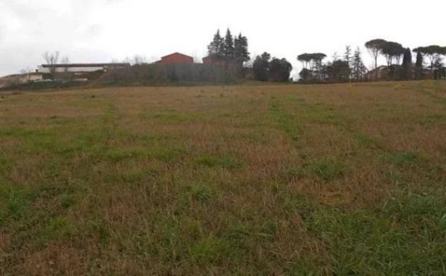 Immobile in asta di 7665 m² in vendita a Montecalvo in Foglia - Foto 9