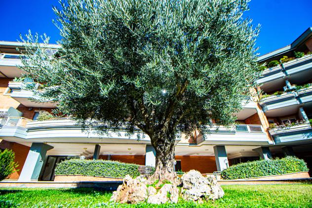 Appartamento in Via Pietro Ubaldo Angeletti