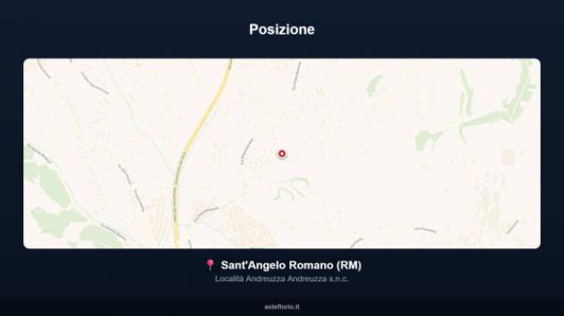 Immobile in asta di 316 m² con più di 5 locali in vendita a Sant'Angelo Romano - Foto 2