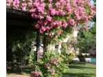 Villa Belfiore Hotel