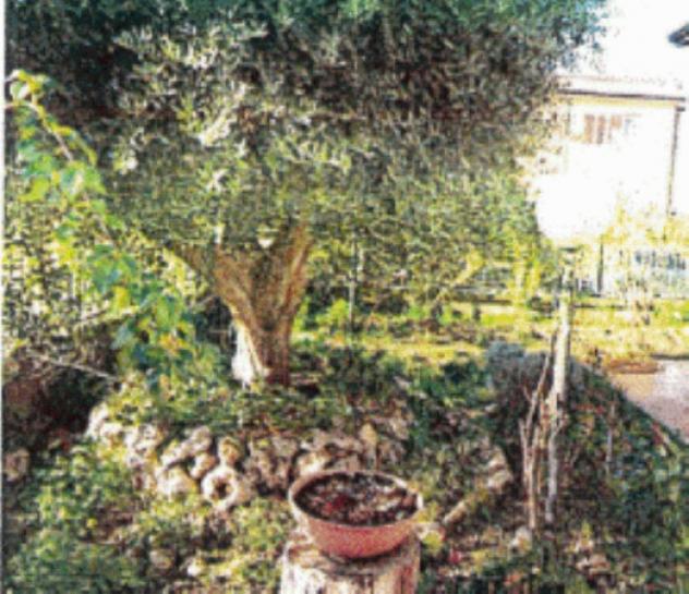 Immobile in asta di 190 m² in vendita a Giugliano in Campania - Foto 8