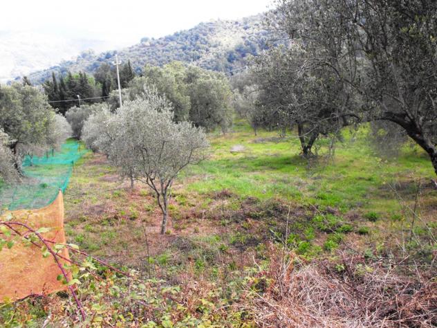 Agricolo in Località Caselle - Foto 9