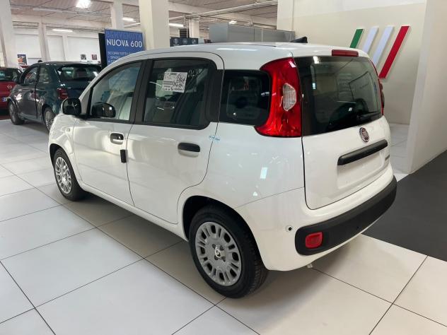 FIAT Pandina Pandina 1.0 firefly hybrid Icon - Foto 7