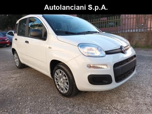 FIAT Panda 1000 HYBRID PANDINA ICON 70CV 5P PACKCITY ITALIA rif. 23999345