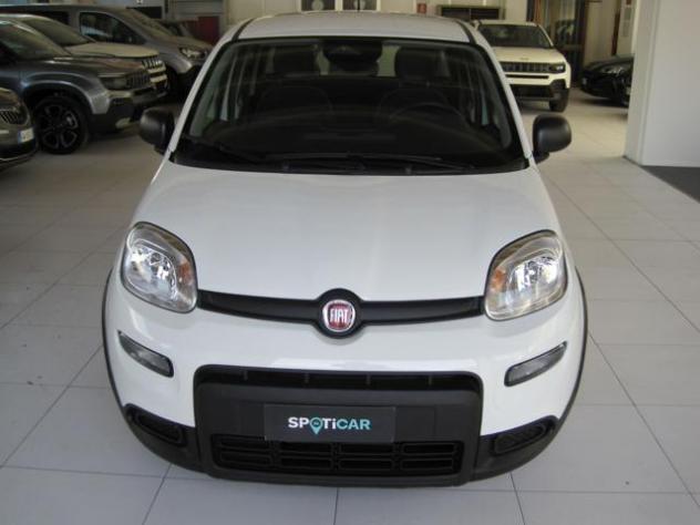 FIAT Panda 1.0 FireFly S&S Hybrid rif. 21416888 - Foto 2