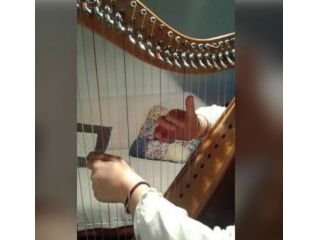Lezioni di arpa celtica