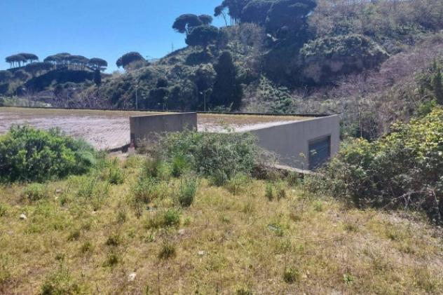 Immobile in asta di 12780 m² in vendita a Messina - Foto 10