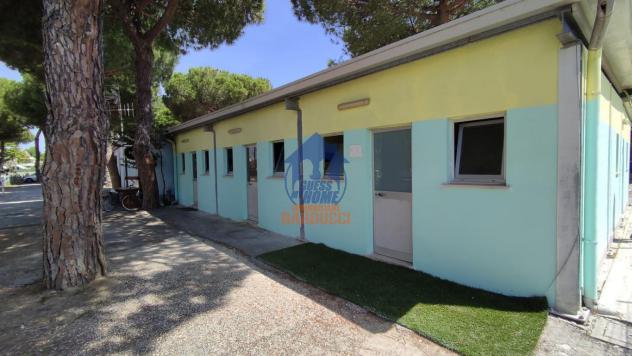 Cervia ampio centro sportivo/parco giochi - Foto 10