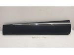 MODANATURA PORTA ANTERIORE SINISTRA RENAULT Captur Serie 808770154R (19)
