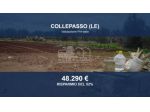 Immobile in asta di 4399 m² in vendita a Collepasso