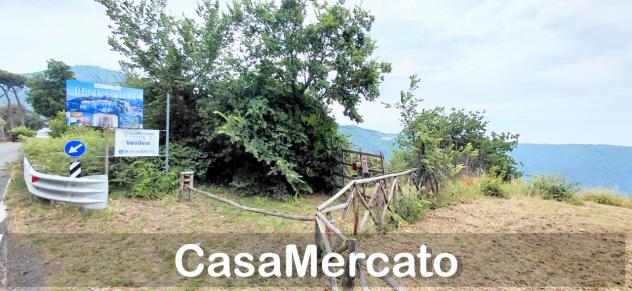 Agricolo in vendita a Rocca di Papa - Foto 6