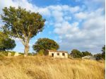 Terreno agricolo in vendita a Roccalbegna 400000 mq  Rif: 1197886