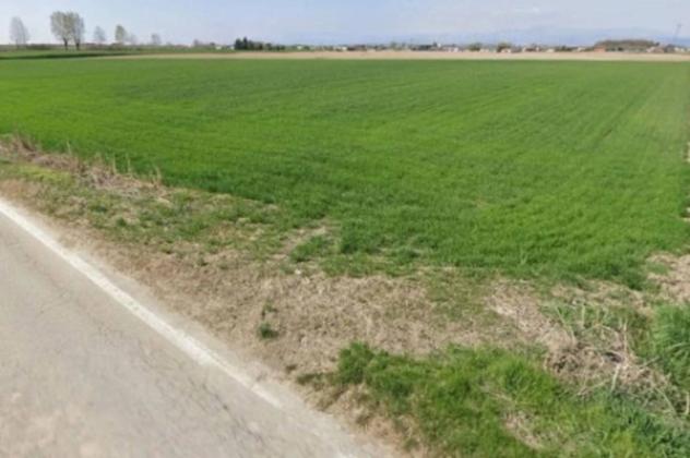 Immobile in asta di 29104 m² in vendita a Roverchiara - Foto 7