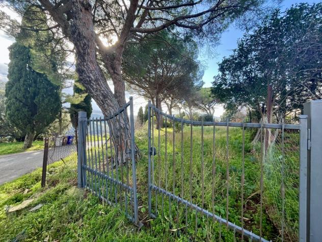 Pentalocale in vendita a Scansano