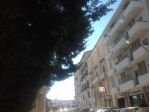 VENDESI  ALLA VIA UMBERTO I°  LOCALE CON CANNA FUMARIA  MQ 80.
