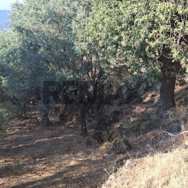 Terreno in vendita a Castiglione di Sicilia - Foto 9