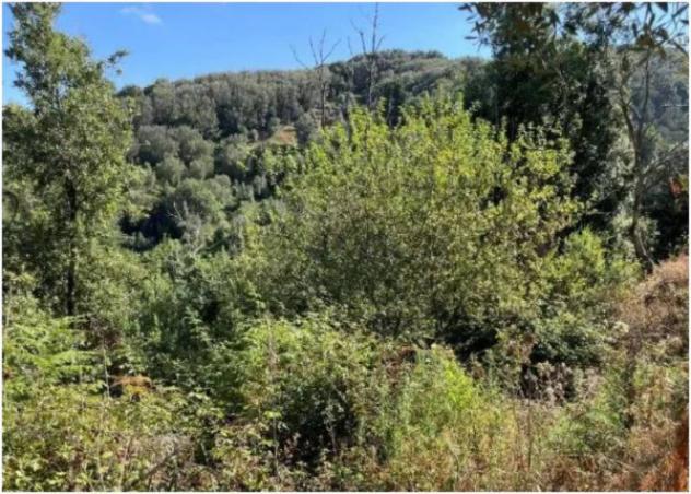 Immobile in asta di 62700 m² in vendita a Galatro - Foto 8