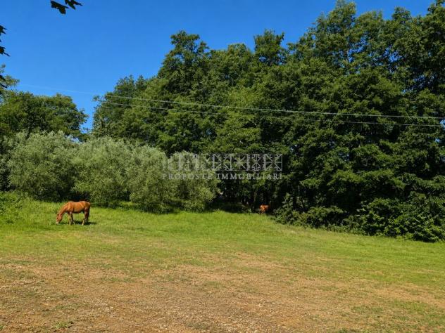 Terreno agricolo con magazzino e pozzo - Foto 7