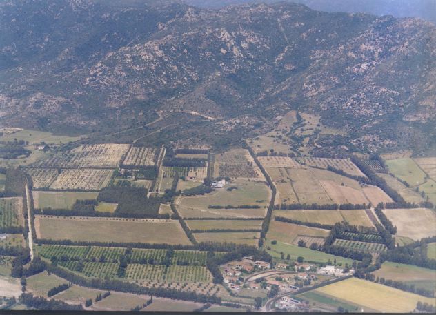 ANTICA PROPRIETA' AGRICOLA A 7 kM DA CAPO FERRATO - Foto 5