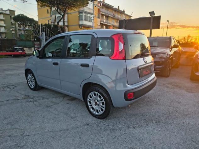 FIAT Panda 1.0 FireFly S&S Hybrid Easy rif. 23838032 - Foto 6