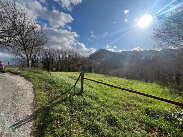 Area verde in vendita a Novafeltria - Foto 3