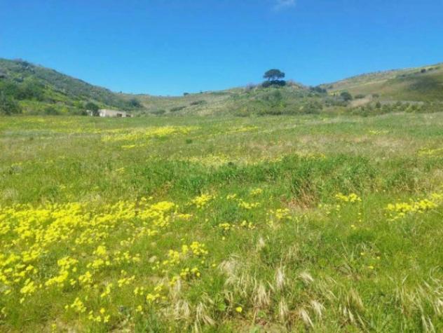 Immobile in asta di 181 m² in vendita a Calatafimi-Segesta - Foto 5