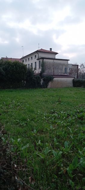Giardiniere custode tuttofare