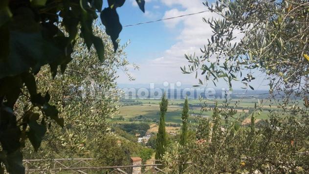 Rustico in vendita a Capannori 20 mq Rif: 1309913 - Foto 4