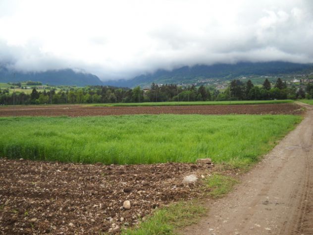 Terreno agricolo con irrigazione - Foto 3