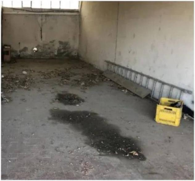 Immobile in asta di 5852 m² in vendita a Sissa Trecasali - Foto 10