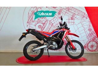 HONDA CRF 300 R RALLY rif. 23613377