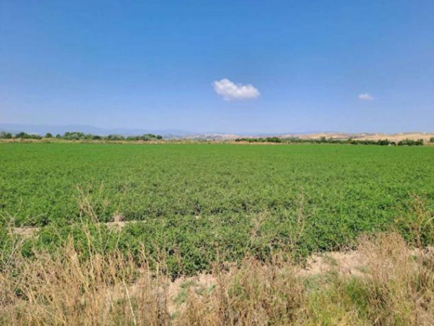 Immobile in asta di 19410 m² in vendita a Crotone - Foto 3