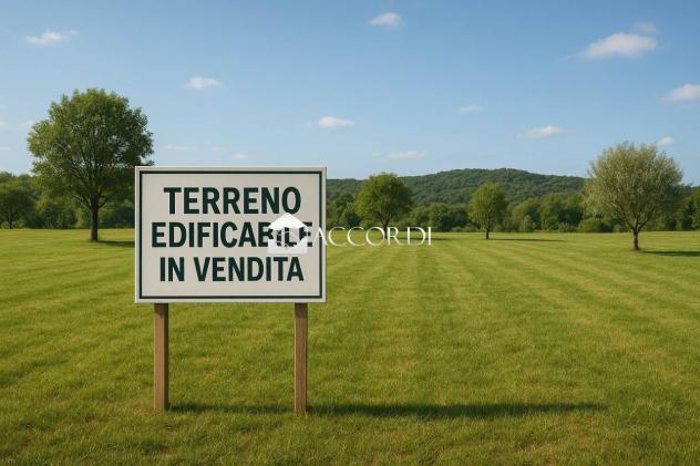 AREA EDIFICABILE di 6227 mq (PAESE) rif. SW183 - Foto 6