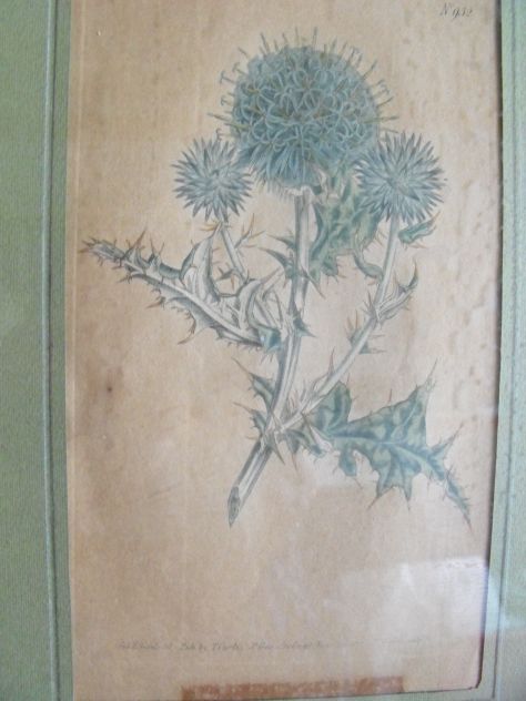 DISEGNI FLOREALI - Foto 4