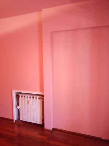 Imbianchino - Foto 2