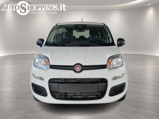 FIAT Pandina Panda III 1.0 firefly hybrid Icon s&s 65cv 5p.ti - Foto 2