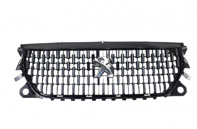 MASCHERINA ANTERIORE PEUGEOT 2008 Serie 9825860780 (19)